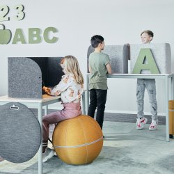 Gtessons FOLDIT Basic Felt