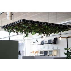 Gtessons Off The Grid