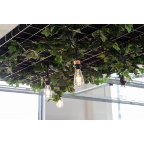 Gtessons Off The Grid