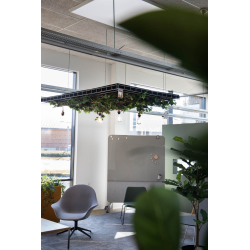 Gtessons Off The Grid