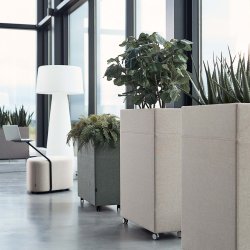 Gtessons Plant Divider