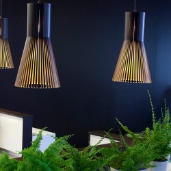 Secto Small 4201 Pendel