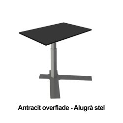 Dencon Delta enkeltsjlebord