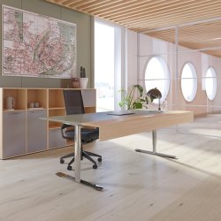 Dencon Delta X h�ve-s�nke-bord