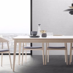 Andersen Furniture T3 udtrksbord