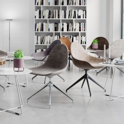 Johanson Atticus konferencestol