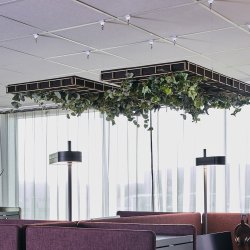 Gtessons Off The Grid