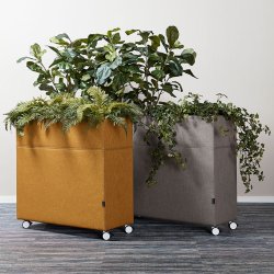Gtessons Plant Divider