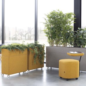 Gtessons Plant Divider